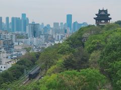 -黄鹤楼公园(黄鹤楼)