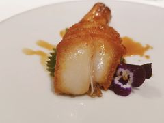 -西郊5号·Maggie 5