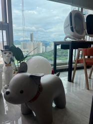 -肌理言健康美肌驻颜所