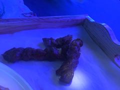 羊肉串-M-MIX电音烤吧
