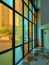 -上海交通大学医学院附属上海儿童医学中心(陆家嘴总院区)