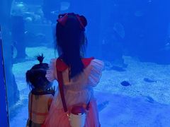 -石家庄海洋公园