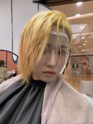-IP SALON