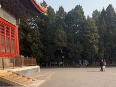 -中山公园音乐堂