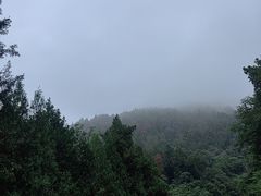 -涂山风景区