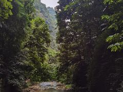 -通灵大峡谷