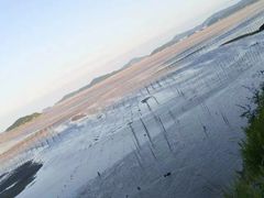 -北岐滩涂