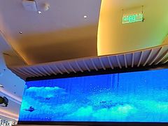 -桂满陇·蟹黄小笼汤包(清河万象店)