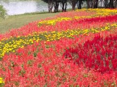 -滨湖塘西河公园