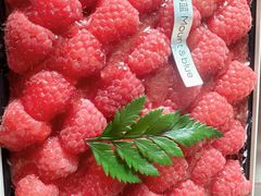 -山与蓝·轻糖鲜果蛋糕(勒泰店)