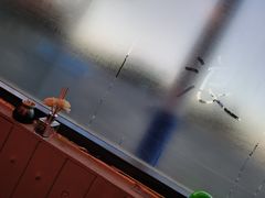 -浪起·江湖菜馆(陶瓷路店)