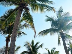 -三亚西岛海洋文化旅游区