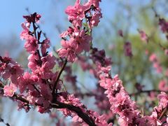 -莹珠阁·私房菜