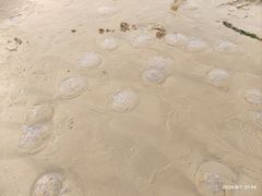 -北戴河东海水浴场