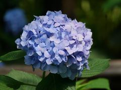 -江湾公园