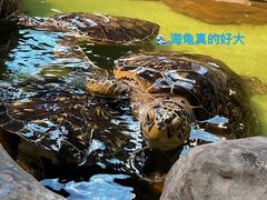 -重庆欢乐海底世界