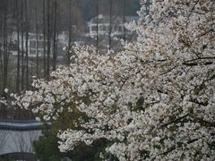 -杭州少年儿童公园