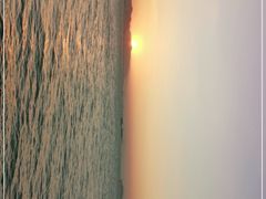 -演武大桥观景平台