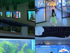 -海合安武汉极地海洋公园