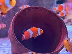 -海合安成都极地海洋公园