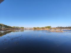 -微山湖红荷湿地景区