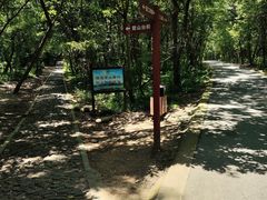 -大蜀山国家森林公园