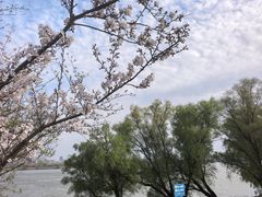 -浦口码头(轮渡站)