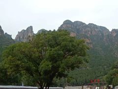 -狼牙山风景区