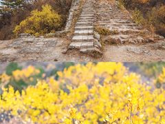 -蟠龙山长城景区