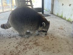 -1982农场