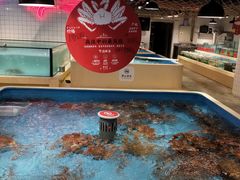 -日进一片海.生腌海鲜火锅.宵夜烧烤(三里屯总店)