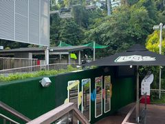 -圣淘沙天际线斜坡滑车