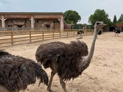 -鄂尔多斯野生动物园