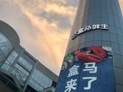 -盒马X会员店(王府井奥莱UP TOWN店)