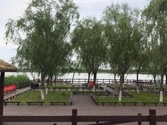 -西青郊野公园