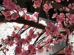 -呷哺呷哺 黄金牧场 (大港油田幸福广场店)