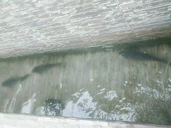 -魁盛居百年鲁菜馆(中林路店)