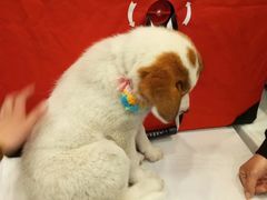 -凯德广场(武胜路店)