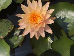 -华南国家植物园-售票处