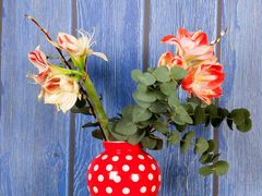 -奥林匹克体育中心游泳跳水中心