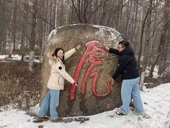 -横道河子东北虎林园