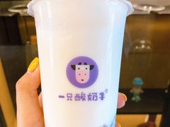 -一只酸奶牛(曲江龙湖星悦荟店)