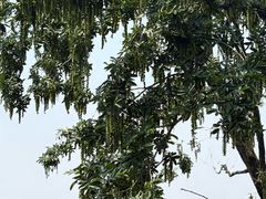 -虞山城墙