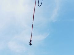 -第35届青岛国际啤酒节