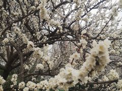 -山东大学(趵突泉校区)