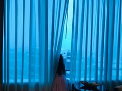 -上海浦东嘉里大酒店