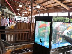 大堂-鲤鱼塘农家山庄