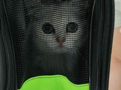 -唐小姐の猫狗洗护·购宠旗舰店(周浦万达店)