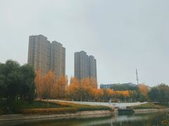 -坝河休闲公园
