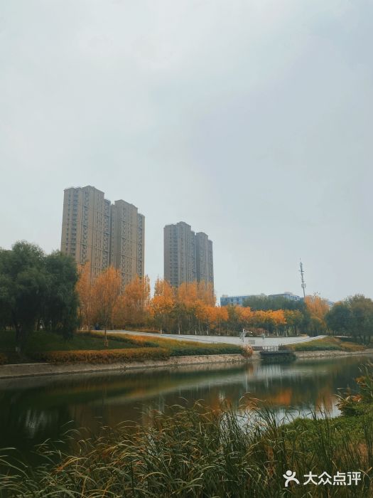 坝河休闲公园图片
